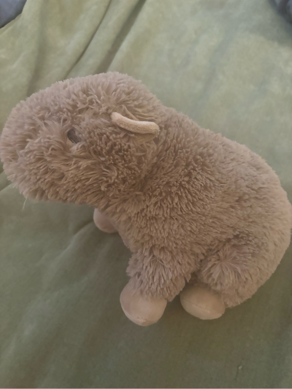 Capybara warmie